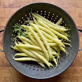 Cherokee Wax, Bean Seeds
